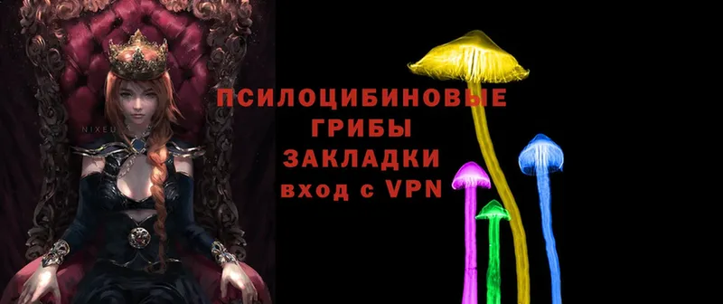 маркетплейс официальный сайт  Бологое  Галлюциногенные грибы Psilocybine cubensis  наркошоп 